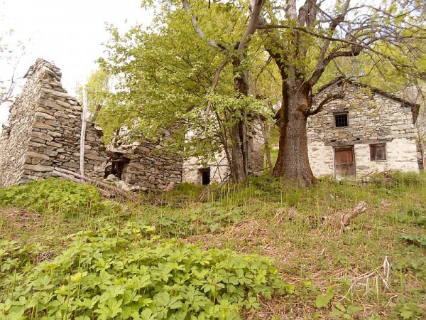 Sentiero Alpe Selva - Monte Il Castello